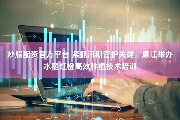 炒股配资官方平台 紧抓汛期管护关键，廉江举办水稻红橙高效种植技术培训